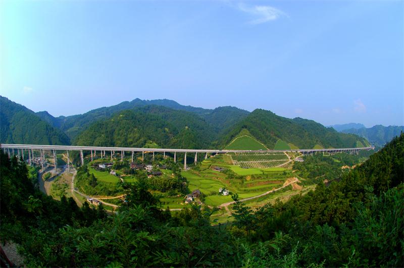 一飞冲天300倍游戏(中国游)·官方网站